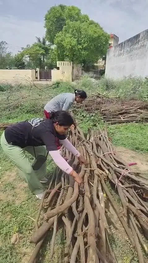 Volunteers stacking firewood for the shelter kitchen