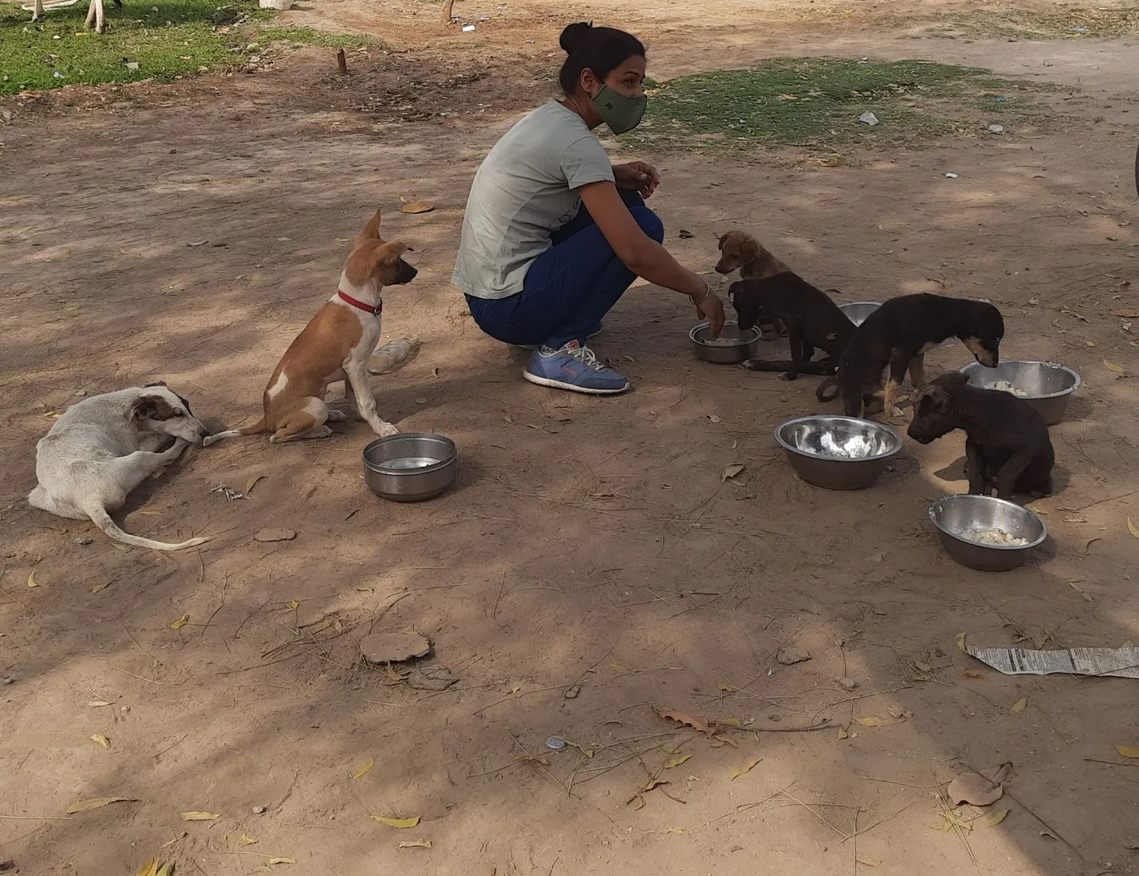 Street Feeding