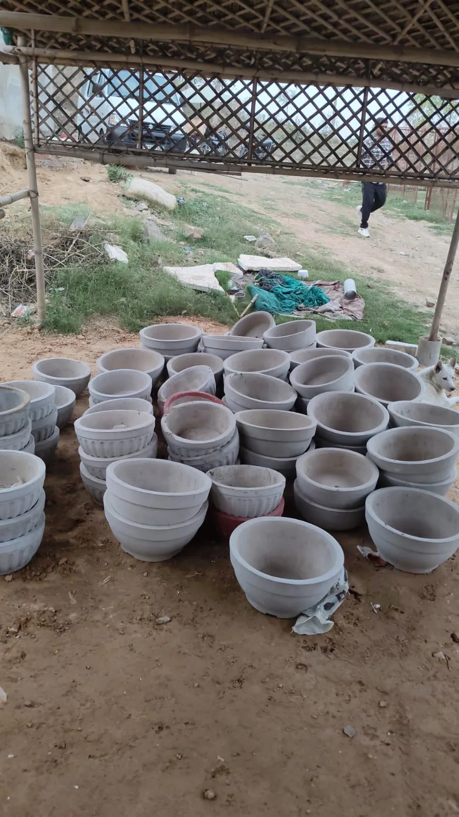 Rows of steel feeding bowls laid out for street dogs at the VoV shelter