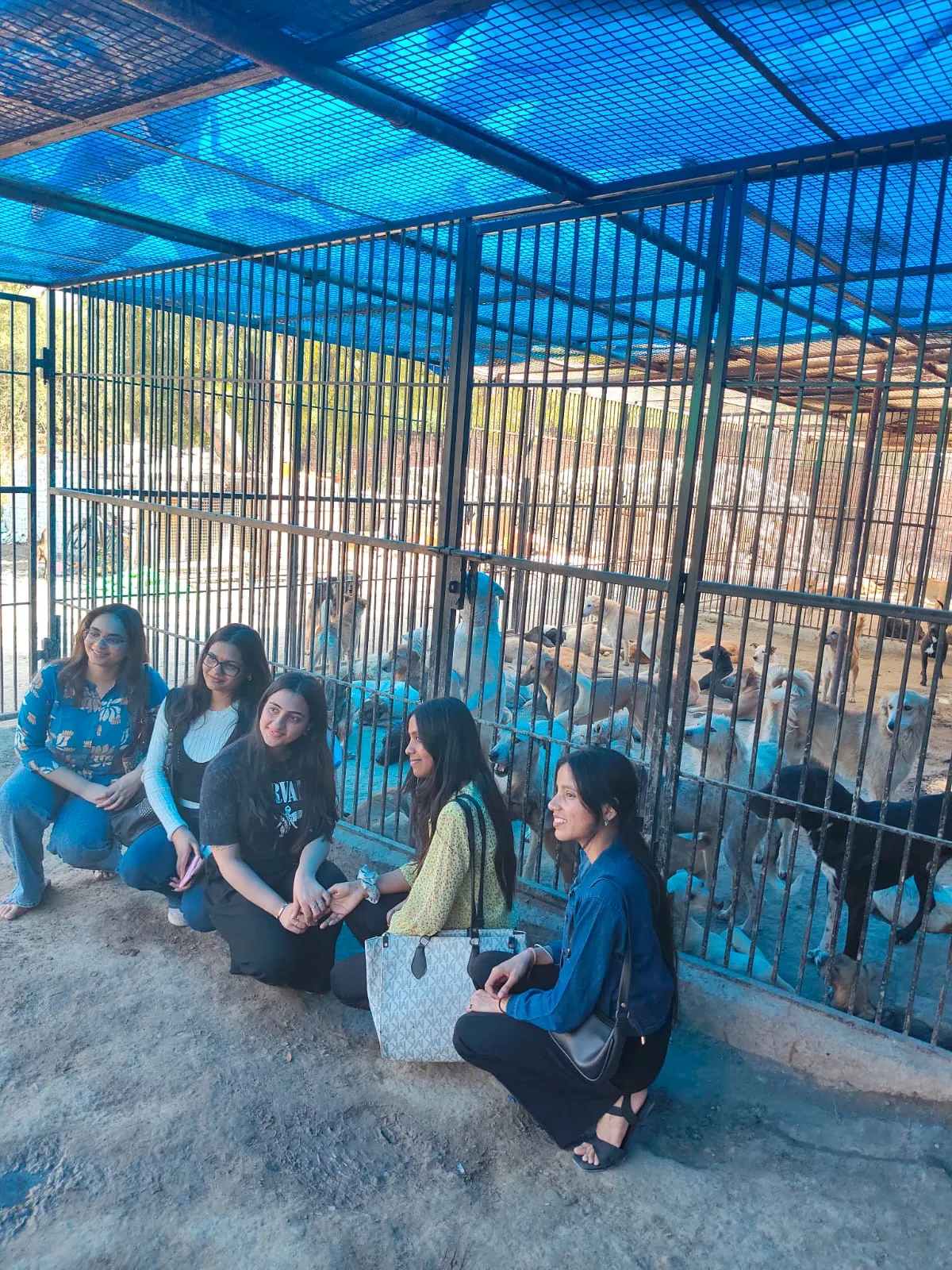 Volunteers at the shelter