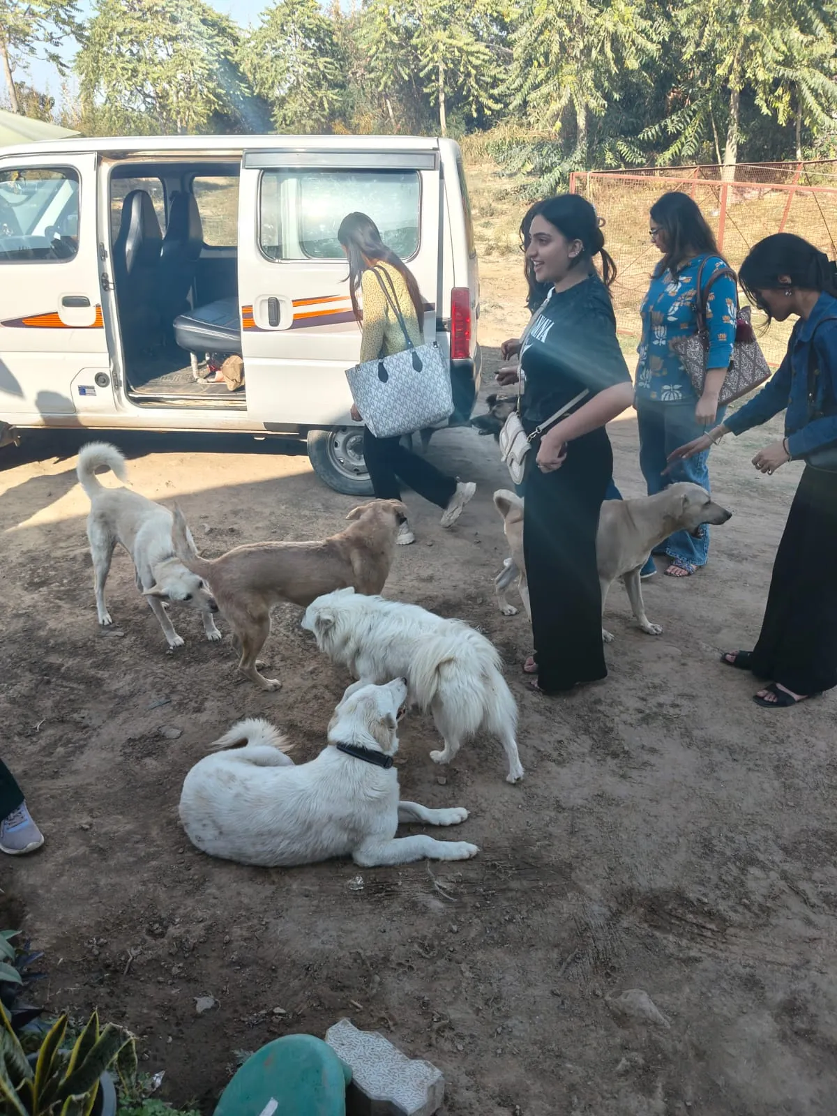 VoV rescue van with volunteers and rescued dogs at the shelter in Faridabad